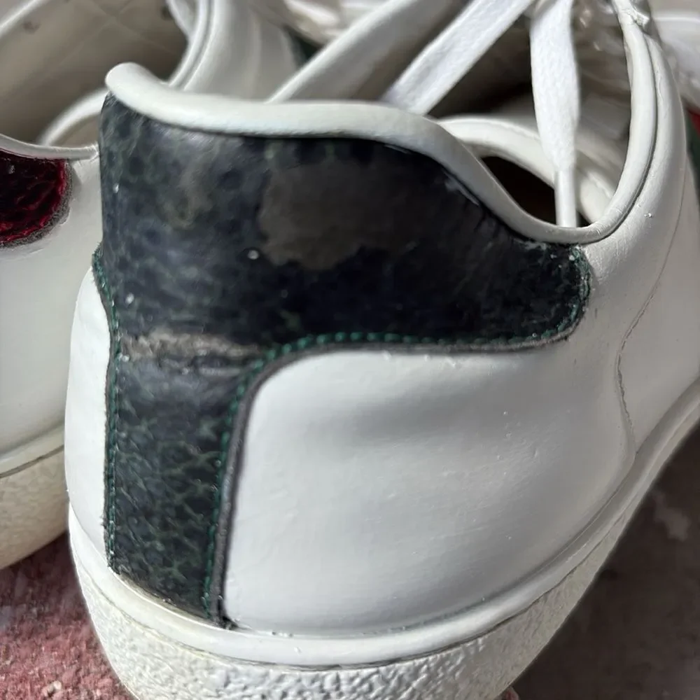 Gucci acel bee sneaker